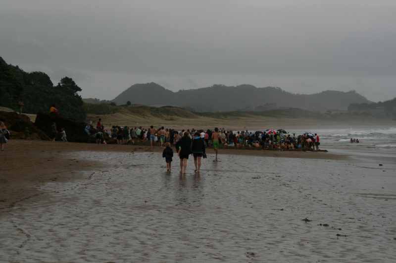 Nieuw-Zeeland 2011 - 0494